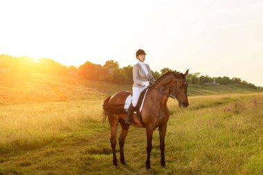 Atlı spor. Genç kadın terbiye gelişmiş test at binme