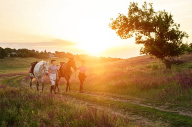 İki kadın ve iki at yaz mutlu gün batımı birlikte doğal olarak açık