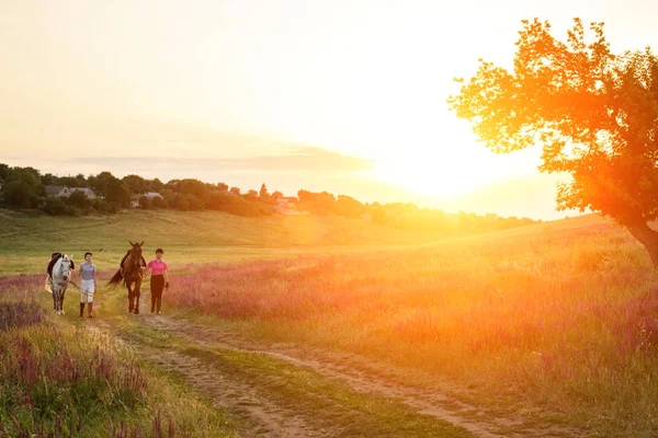 两个女人和两匹马户外在夏天快乐的日落一起自然 — 图库照片