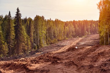 Orman yoluyla yol inşaatı