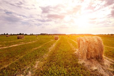 Samanlık hasat tarım alanı manzara. Tarım alanı haystack edersiniz. Güneş parlaması