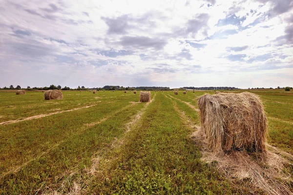 Haystack harvest agriculture field landscape. Agriculture field haystack view.