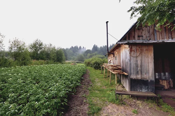 Vue de face de la maison en bois dans le village russe dans la journée ensoleillée d'été — Photo