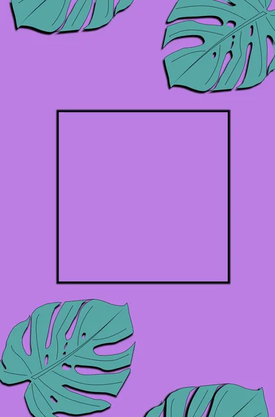 框架和热带叶子 monstera 在紫罗兰色背景为文本空间. — 图库照片