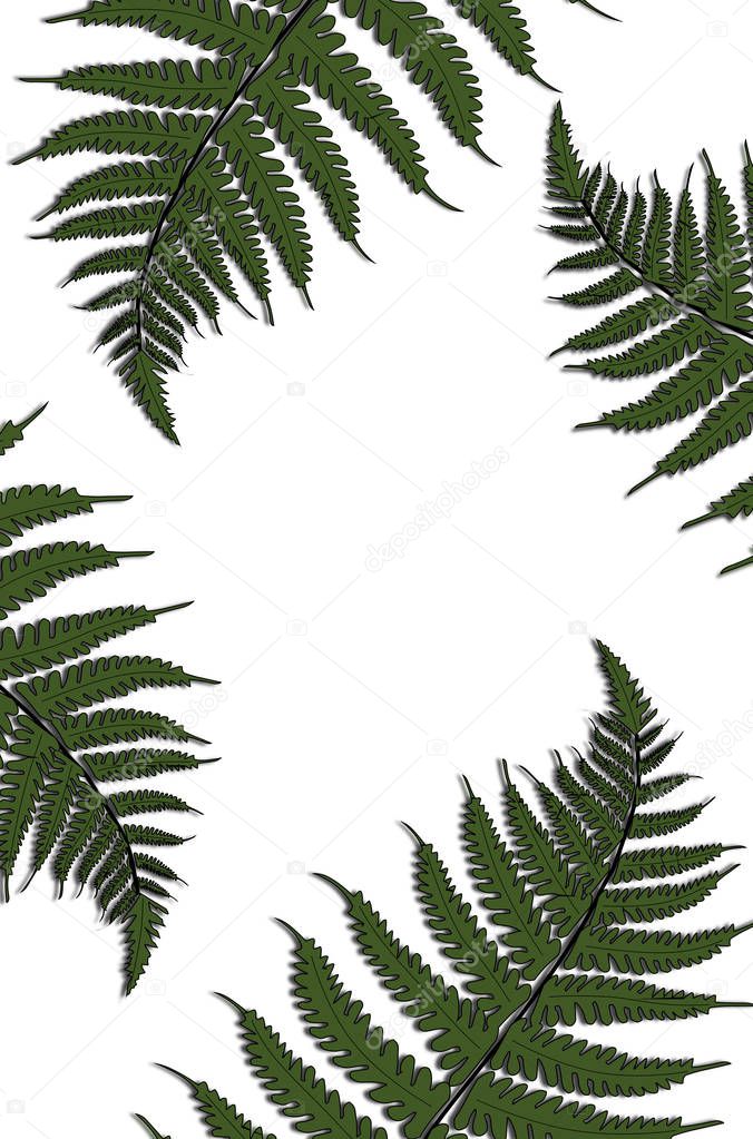 Creative tropical green leaves layout. Nature spring concept. Pattern