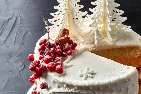Χειμώνα κέικ που καλύπτεται με λευκό γλάσο, με ζωγραφισμένα σπίτι στο δάσος, δένδρα και κόκκινο rowan. — Φωτογραφία Αρχείου