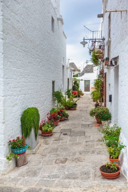 Yeşil bitki ve çiçekler arasında Trulli evleri ile Alberobello Güzel şehir, Apulia bölge, Güney İtalya.