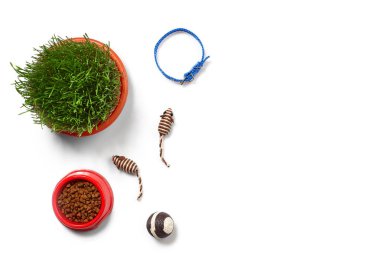 Beyaz arka plan üzerinde izole bir kedi için aksesuarlar ile Düz yatıyordu kompozisyon. Evcil hayvan bakımı.