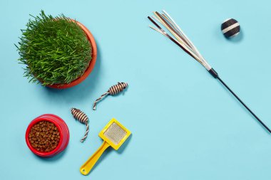 Mavi arka plan üzerinde bir kedi için aksesuarlar ile Düz yatıyordu kompozisyon. Evcil hayvan bakımı.