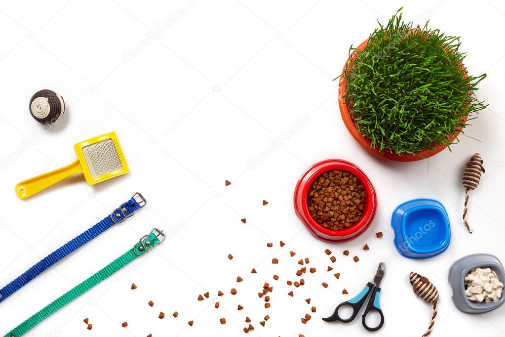 Flat lay composition with accessories for a cat isolated on white background. Pet care.