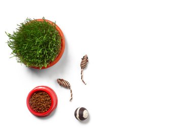 Beyaz arka plan üzerinde izole bir kedi için aksesuarlar ile Düz yatıyordu kompozisyon. Evcil hayvan bakımı.