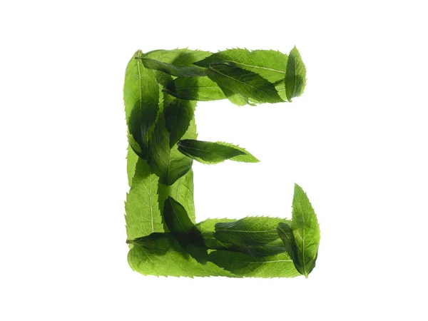 Alfabeto inglês feito de folhas de hortelã isoladas em fundo branco . — Fotografia de Stock