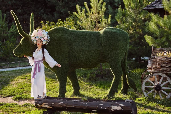 Brunetka dziewczyna w białym ukraińskim autentycznym Narodowym stroju i Wieniec kwiatów stwarza przeciwko zielony wół rzeźbione z krzewu. — Zdjęcie stockowe