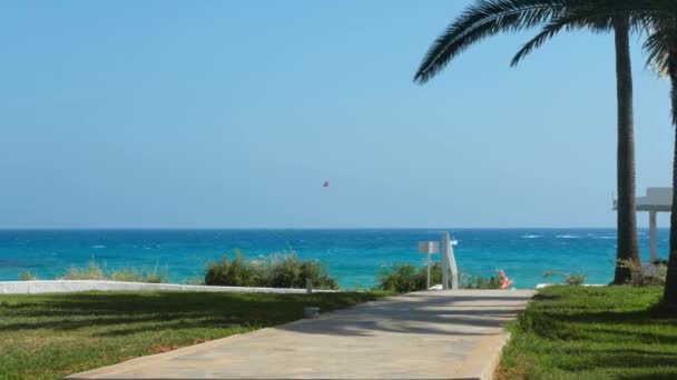 Pad met palmen die leiden naar het strand van de azuurblauwe Middellandse Zee en omgeven door een prachtige natuur van Cyprus. — Stockvideo