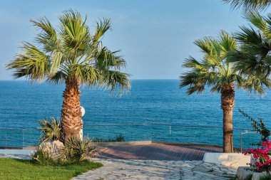 Deniz kıyısı, Kalymnos adasındaki beyaz taş pelerin ya da Kıbrıs 'taki vali plajı. Akdeniz 'in kumsalı, manzaralı bir doğayla çevrili..