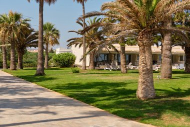 Gök mavisi Akdeniz 'de bulunan ve Kıbrıs' ın güzel doğasıyla çevrili otele giden palmiyeler. Ayia Napa.