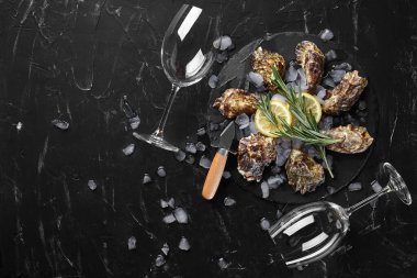 Taze kapalı istiridye, buz, limon ve iki boş bardak siyah taşlı arka planda. Kopyalama alanı olan üst görünüm. Yakın plan..