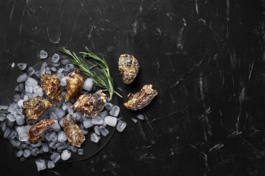 Taze kapalı istiridyeler ve yuvarlak bir levhada buz, siyah, desenli bir arka plan. Kopyalama alanı olan üst görünüm. Yakın çekim..