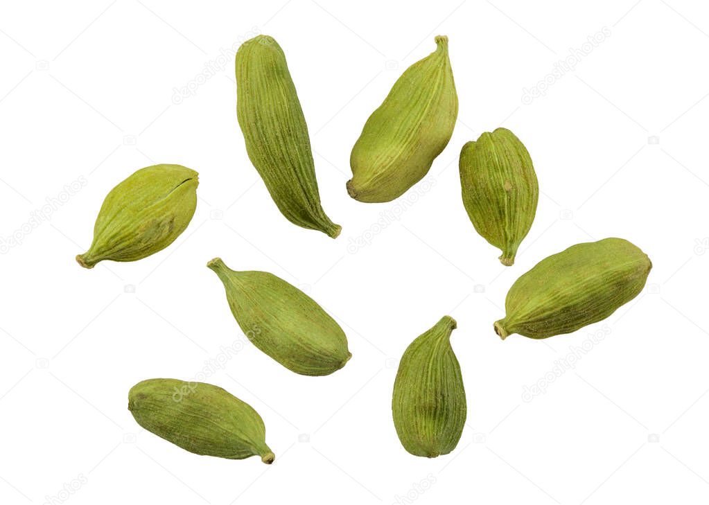 Green cardamom pods isolated on white background with copy space for text or images. Spices, food, cooking concept. Close-up shot.