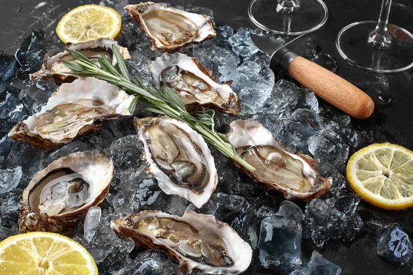 Fresh opened oysters, ice and lemon on a black stone textured background. Top view. Close-up shot. — Stock Photo, Image