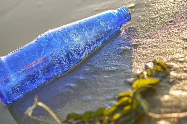 Used blue glass bottle lies on the river bank, next to the algae. Cleaning up trash. Riverside pollution. Volunteering concept. Close-up shot. — Stock Photo, Image