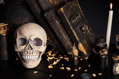 Ahşap, siyah arka planda dişleri olan bir insan kafatasının gerçekçi modeli. Tıp bilimi ya da Cadılar Bayramı korku konsepti. Yakın çekim..