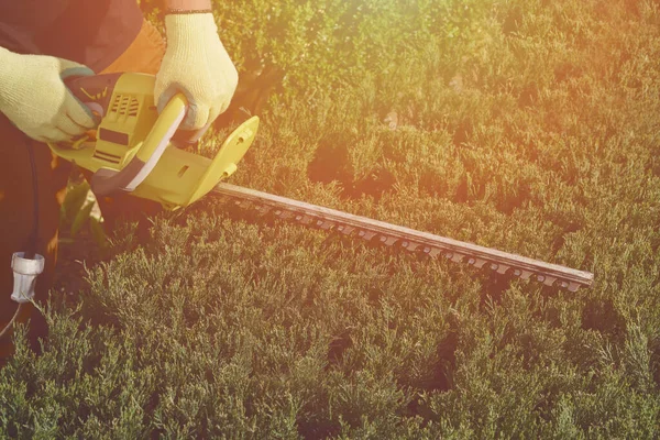 Hände unbekannter Arbeiter in gelben Handschuhen schneiden den zugewachsenen grünen Busch mit einer elektrischen Heckenschere auf einem sonnigen Hinterhof. Nahaufnahme — Stockfoto