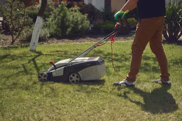 Male in casual outfit and gloves is cutting green grass with electric lawn mower in his garden. Gardening care equipment and services. Sunny day