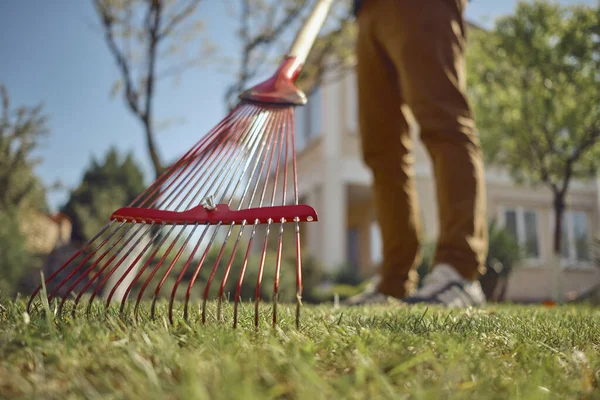 Unbekannter junger Mann in Freizeitkleidung benutzt rote Gartenharke auf einer Rasenfläche seines Hinterhofs. Das nützliche Werkzeug des modernen Gärtners. Sonniger Tag. Nahaufnahme — Stockfoto