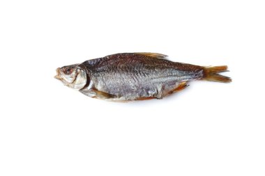 Bir kurutulmuş ya da kurutulmuş hamamböceği, beyaz arka planda izole edilmiş lezzetli bir kırpıcı balığı. Tuzlu bira mezesi. Geleneksel balık koruma yöntemi. Kapat.