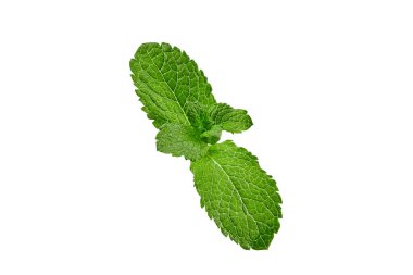 Beyaz arka planda izole edilmiş yeşil naneli şeker. Tabak, içecek ya da süsleme malzemesi. Taze kokulu yapraklar, bitki, baharat. Kapat, boşluğu kopyala, üst görünüm