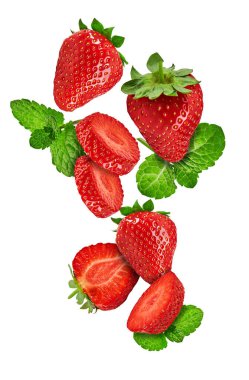 Beyaz arka planda izole edilmiş nane yapraklı düşen çilekler. Tam, ikiye bölünmüş ve dilimlenmiş. Tatlı bir tadı ve güzel bir kokusu olan olgun kırmızı meyveler. Yaz hasadı. Kapat, boşluğu kopyala