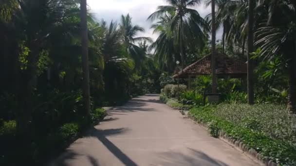 Carretera en un bungalow entre palmeras. Resort jardín tropical — Vídeos de Stock