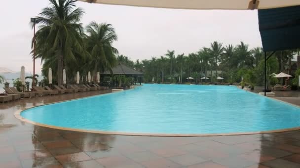 Lluvia tropical junto a la hermosa piscina con palmeras — Vídeo de stock