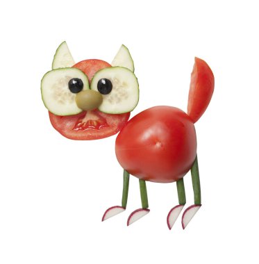 Bir kedi ile domates yapma fikri