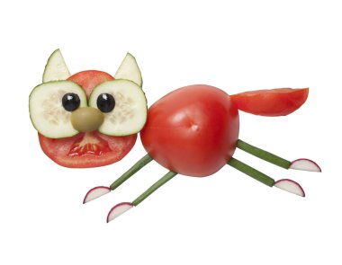 Yalıtılmış zemin üzerine taze sebze ile yapılan kedi