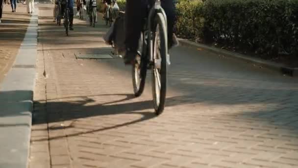 Muchas bicicletas conducen por una calle estrecha. En la imagen solo las ruedas son visibles, no hay personas reconocibles. Transporte ecológicamente limpio en Europa — Vídeos de Stock