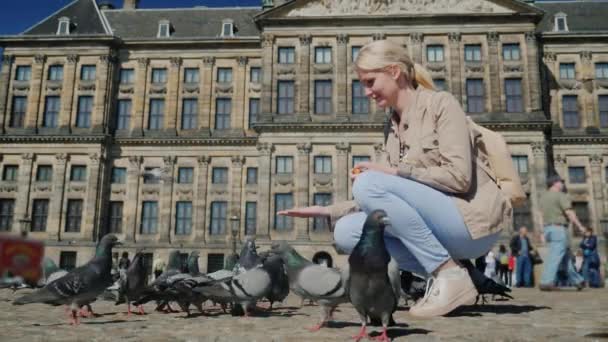 Турист кормит голубей в центре Амстердама на заднем плане королевского дворца. Концепция путешествий по Европе и Нидерландам — стоковое видео