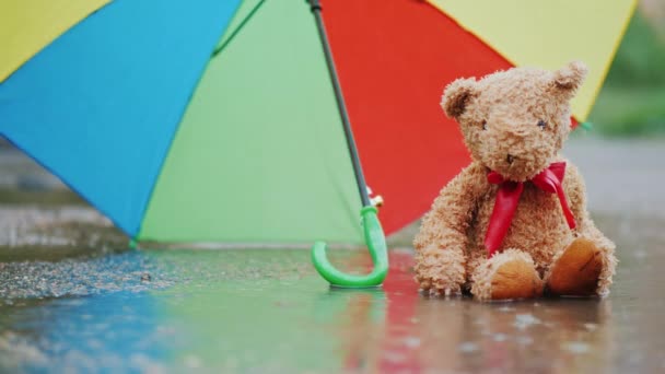 Ein nasser Teddybär sitzt in einer Pfütze unter einem Regenschirm. Der Wind bläst den Regenschirm