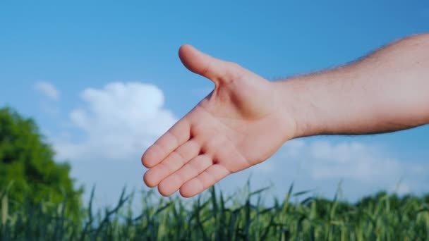 Zwei männliche Bauern geben sich die Hand. vor dem Hintergrund einer grünen Wiese und eines blauen Himmels. Deal im Agrarwirtschaftskonzept — Stockvideo