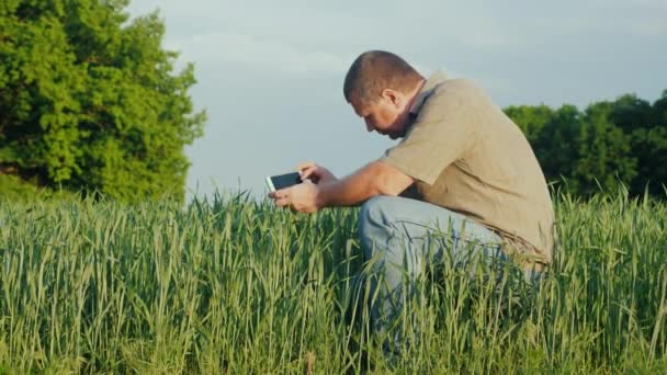 Un agrónomo de mediana edad fotografía brotes de trigo verde — Vídeo de stock