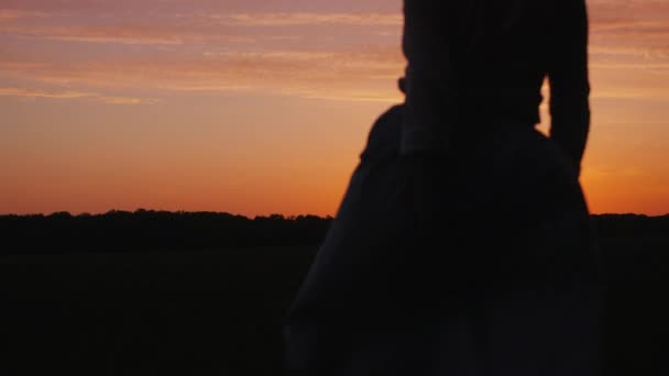 Sylwetka beztroski Kobieta w sukni światła, prowadzi przez pola w kierunku zachodzącego słońca — Wideo stockowe
