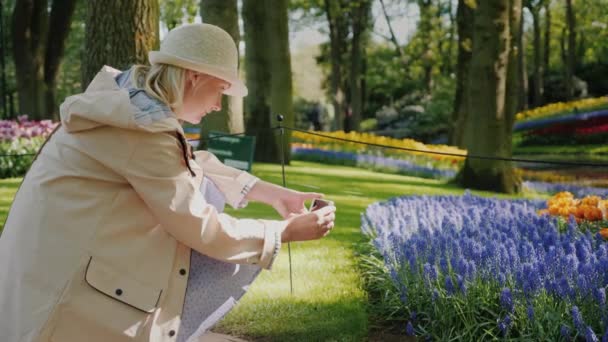 Il visitatore fotografa una bella aiuola con fiori nel famoso parco Kekenof nei Paesi Bassi. Popolare tra i turisti provenienti da tutto il mondo — Video Stock