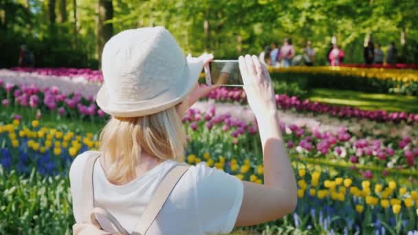 Турист в легкой одежде фотографирует клумбы в парке Кеукенхау в Нидерландах. Концепция туризма в Европе — стоковое видео