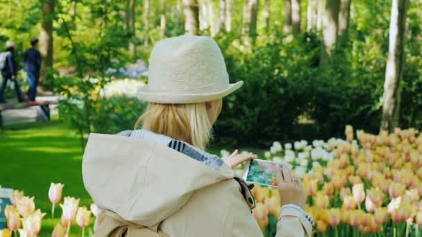 El turista hace una foto de los macizos de flores de un tulipán en un parque de flores — Vídeo de stock