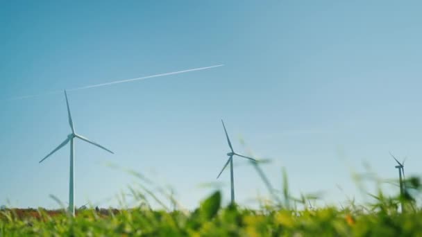 Várias turbinas eólicas. Em primeiro plano há uma grama verde, no fundo um avião está voando no céu — Vídeo de Stock