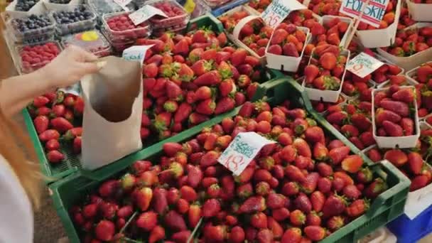 El vendedor pone fresas frescas del mostrador en el paquete para el comprador. Lista de precios en Polaco — Vídeos de Stock