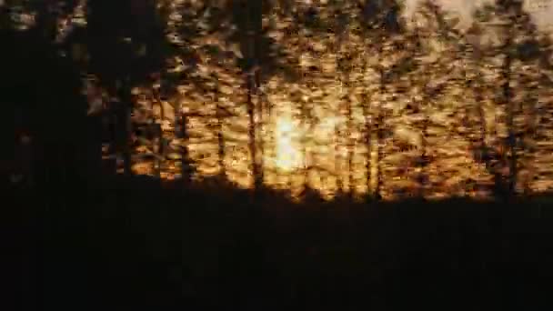 Les rayons du soleil brillent à travers les arbres. Vue depuis la fenêtre d'un train ambulant. Concept du matin sur la route — Video