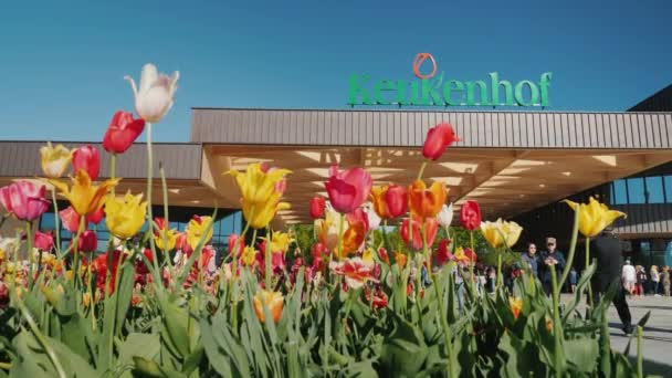 Ogród Keukenhof, Lisse Netherland maja 2018 r.: Tentrance do jednego z najbardziej znanych parków kwiat w Europie - Keukenhof — Wideo stockowe