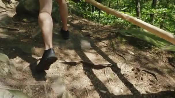 Achteraanzicht: benen van een man, een wandeling langs een berg trail langs de wortels van bomen. — Stockvideo